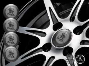 Silikonsticker Feinjustiert Radiant Racing Grid